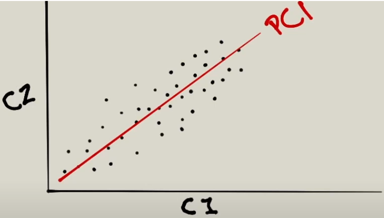 Dirección de variedad de datos