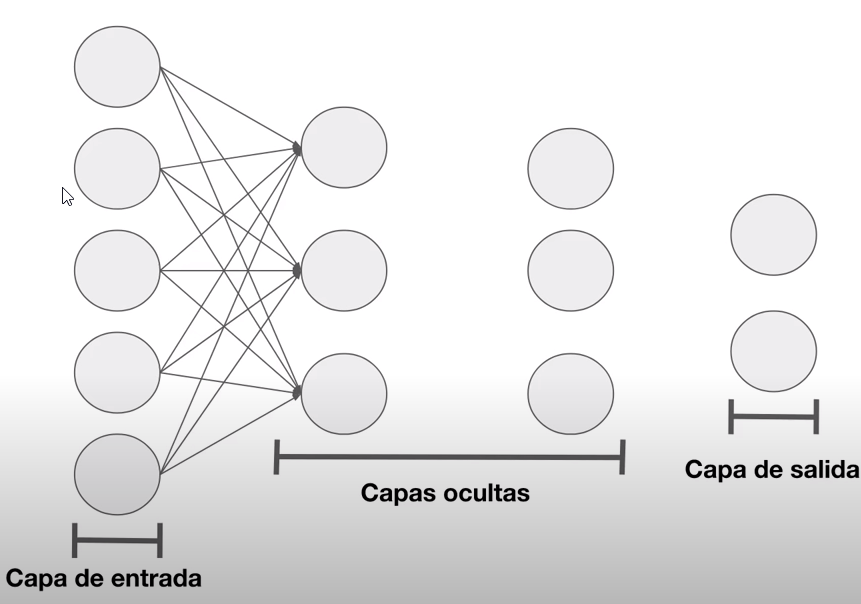 Estructa