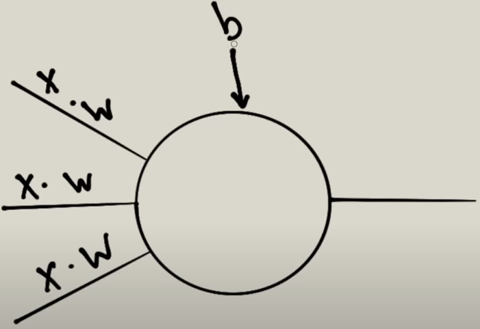 Funciona neurona